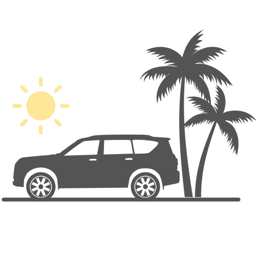 Cabo Airport Transportation 