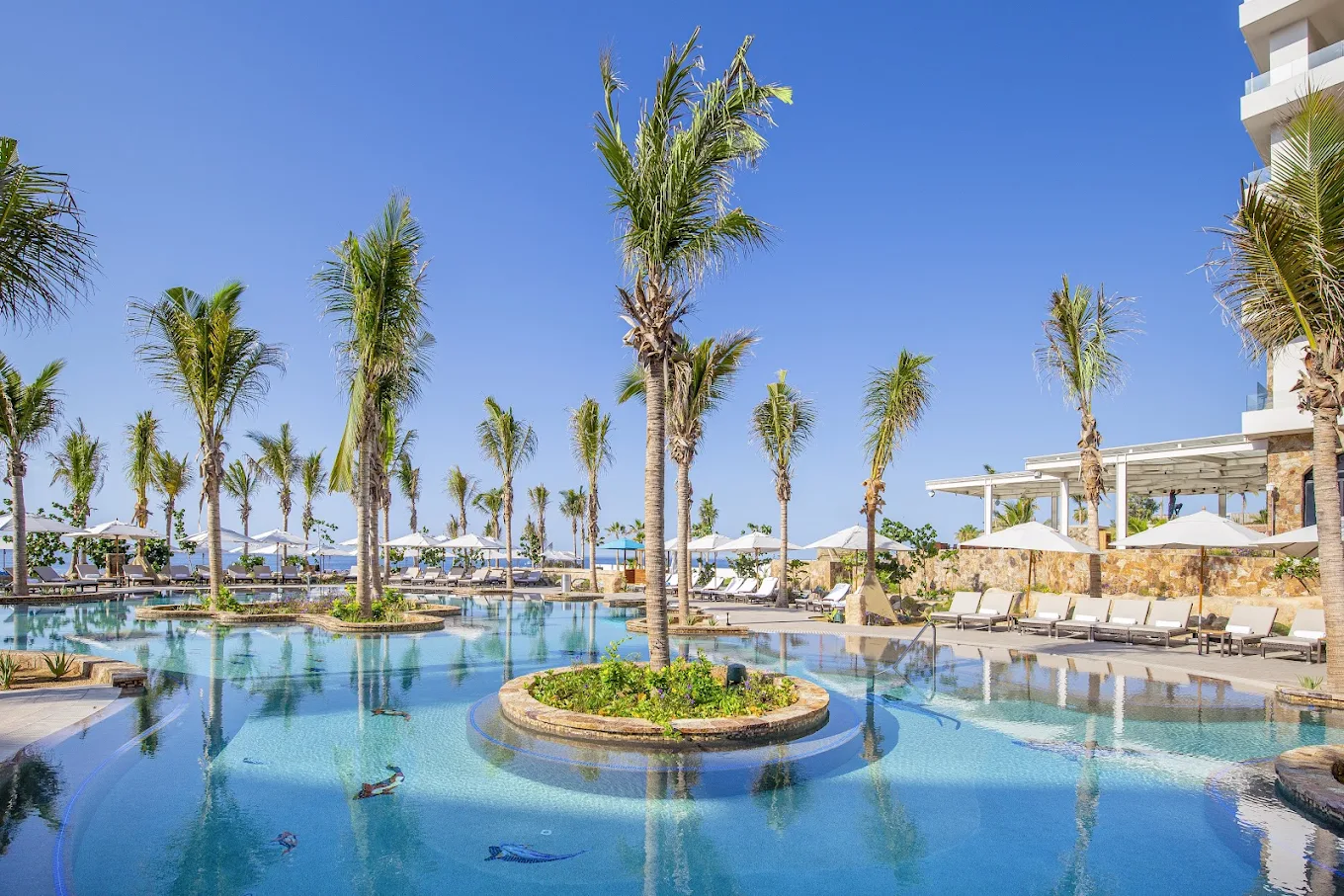 cabo airport to villa la valencia transportation
