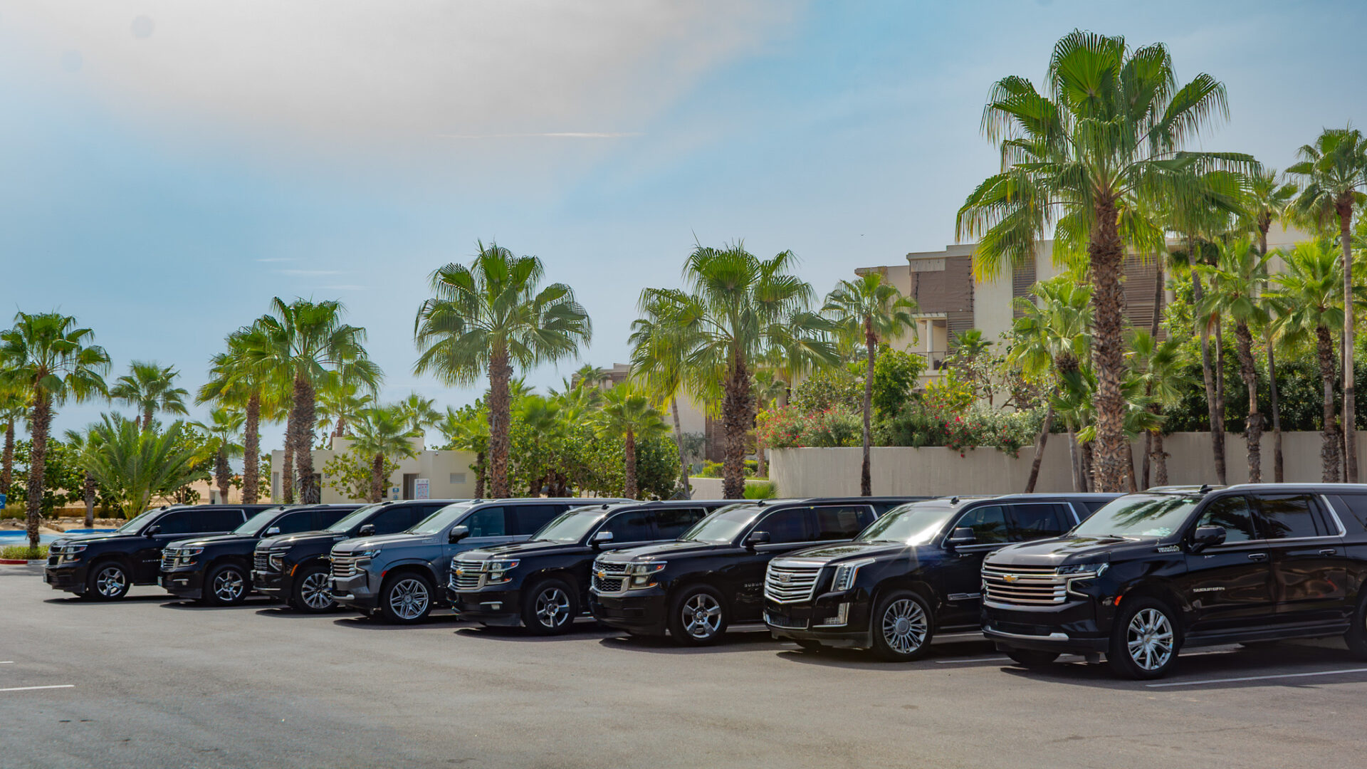 cabos san lucas airport shuttle