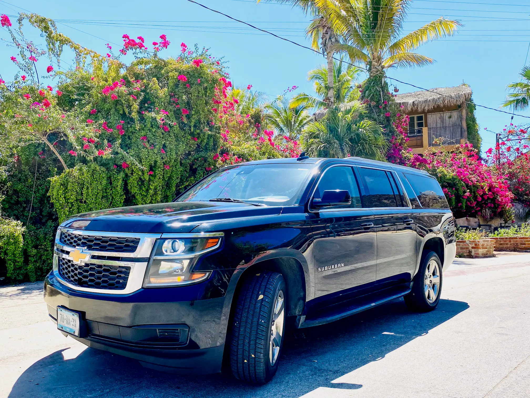 suburban vehicle outside, beautiful bugambilia threes at the background los cabos airport shuttles